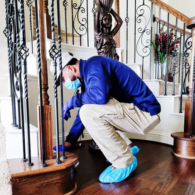 Brady Pest Control — photo from the business 6