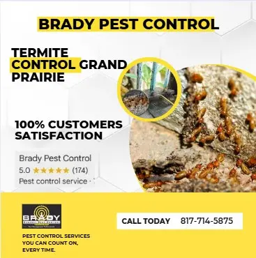 Brady Pest Control — photo from the business 5