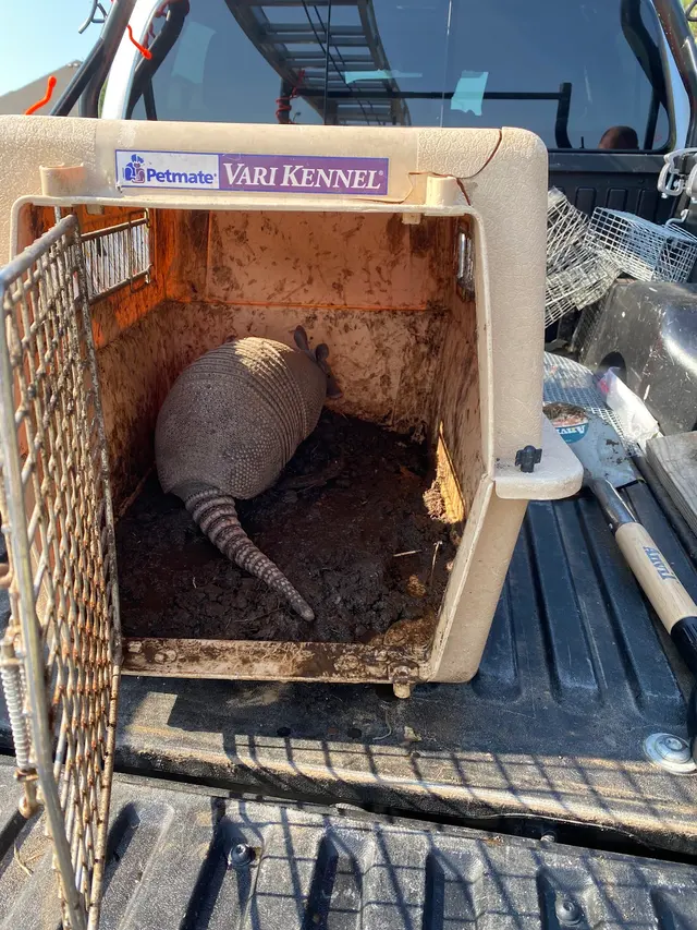 Apex Wildlife Solutions — customer photo 2