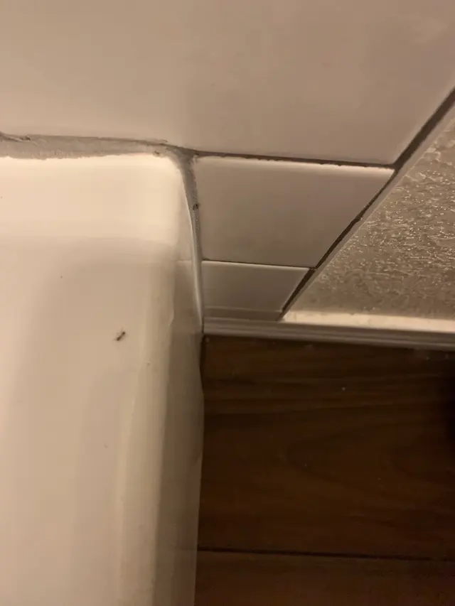 Customer photo from Gregory's review