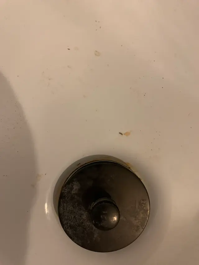 Alpha and Omega Pest Control — customer photo 11