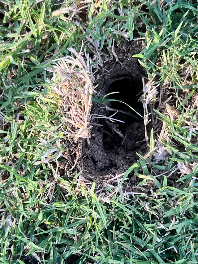 Alpha and Omega Pest Control — customer photo 10