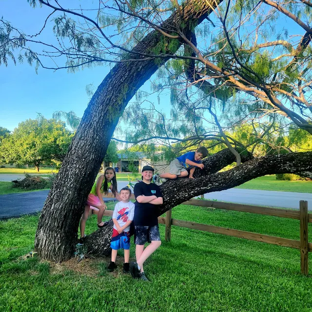 Alpha and Omega Pest Control — customer photo 12