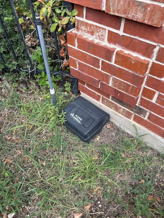Alpha and Omega Pest Control — customer photo 4
