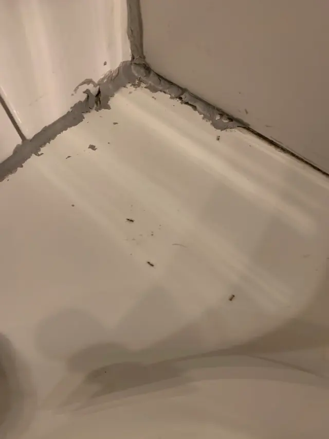 Customer photo from Gregory's review
