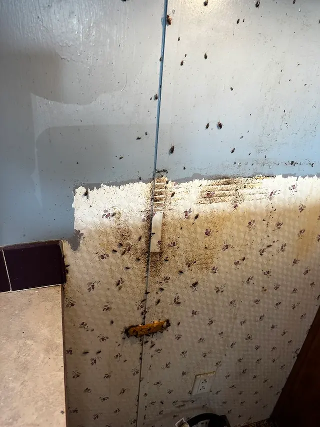 Preston Pest Service LLC — photo from the business 3