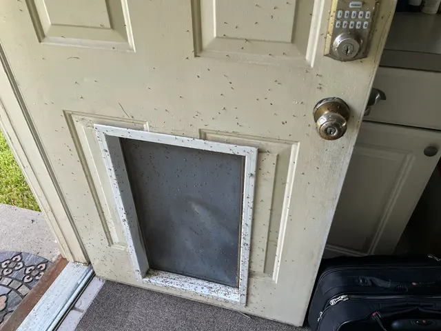 Preston Pest Service LLC — photo from the business 12