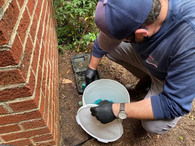 Alamo Termite & Pest Control — photo from the business 12