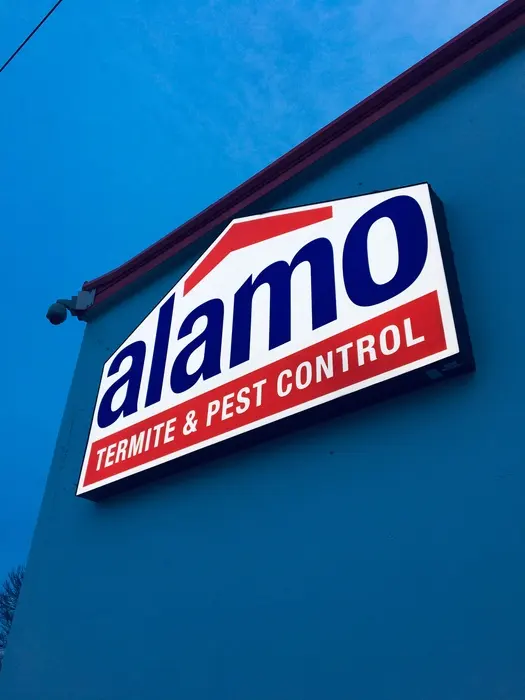 Alamo Termite & Pest Control — photo from the business 7