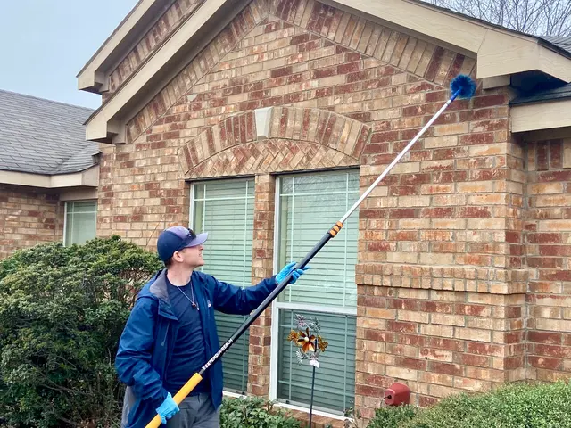 Alamo Termite & Pest Control — photo from the business 2