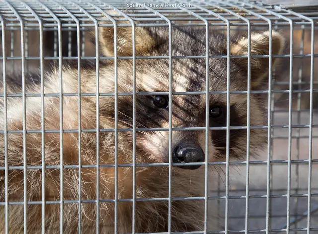 Critter Stop — photo from the business 4