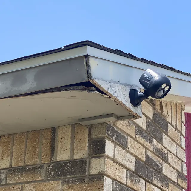 Dallas Fort Worth Wildlife Control — photo from the business 10