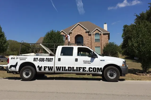 Dallas Fort Worth Wildlife Control — photo from the business 11