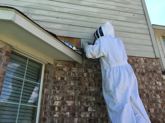 Dallas Fort Worth Wildlife Control — photo from the business 4