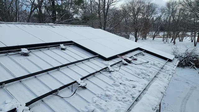 Sunny Side Solutions — photo from the business 12