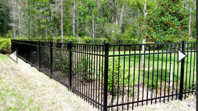Fence Company Near Me - Pinellas — photo from the business 12