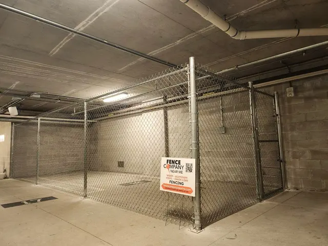 Fence Company Near Me - Pinellas — photo from the business 9