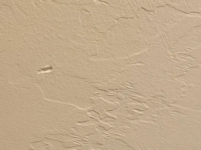 Customer photo of work by The Moving Magicians, from S O (TruthTeller20)'s review