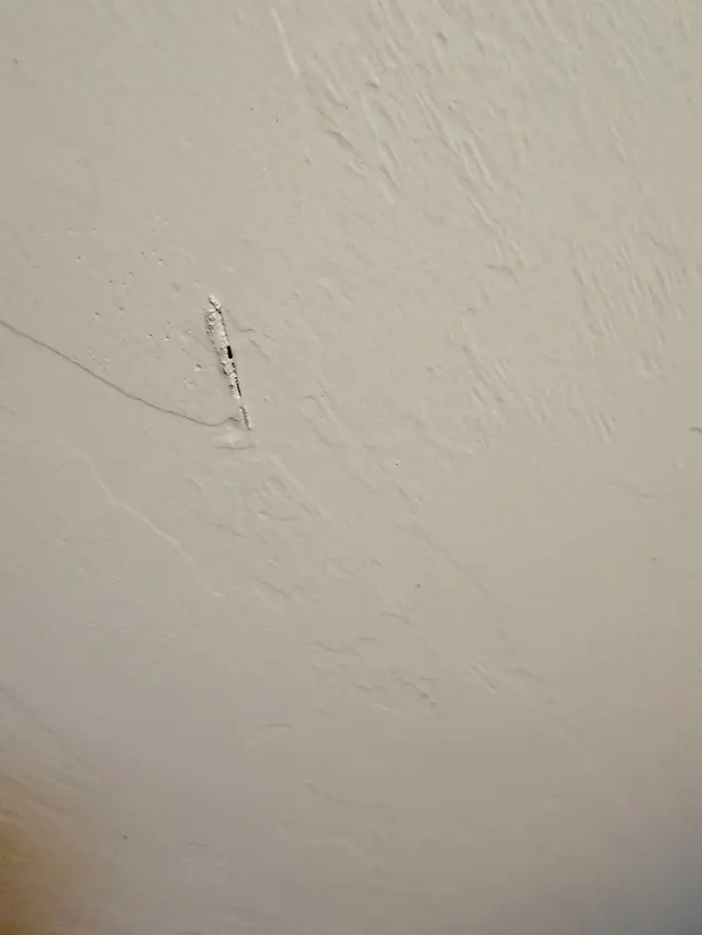 Customer photo of work by The Moving Magicians, from S O (TruthTeller20)'s review