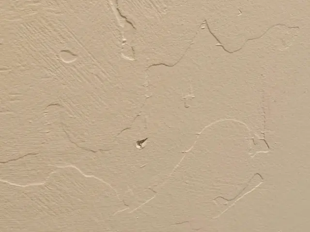 Customer photo of work by The Moving Magicians, from S O (TruthTeller20)'s review