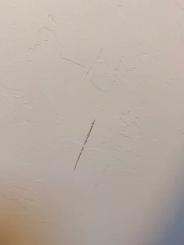 Customer photo of work by The Moving Magicians, from S O (TruthTeller20)'s review