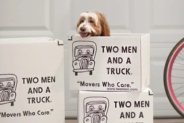 Two Men and a Truck Moving — photo from the business 7