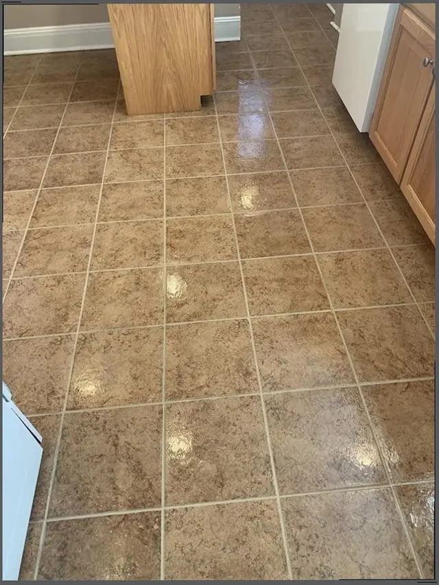 Burgess Family Carpet Care — customer photo 9