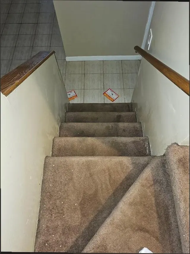 Burgess Family Carpet Care — customer photo 10