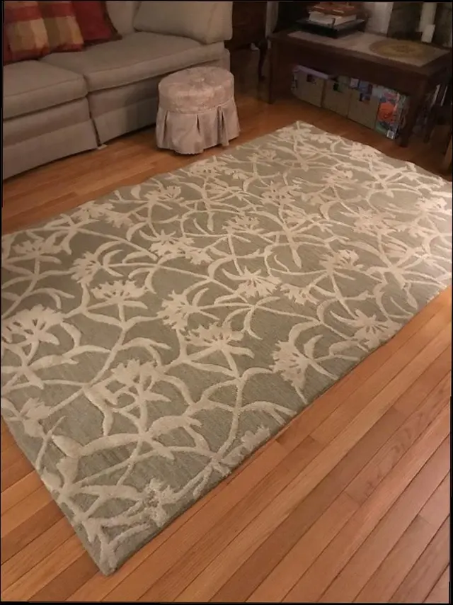 Burgess Family Carpet Care — customer photo 5