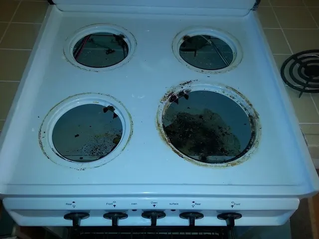 Oasis Natural Cleaning — photo from the business 12