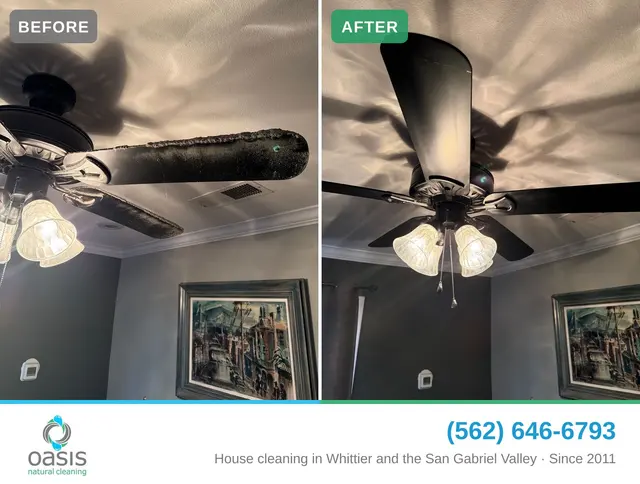 Oasis Natural Cleaning — photo from the business 2