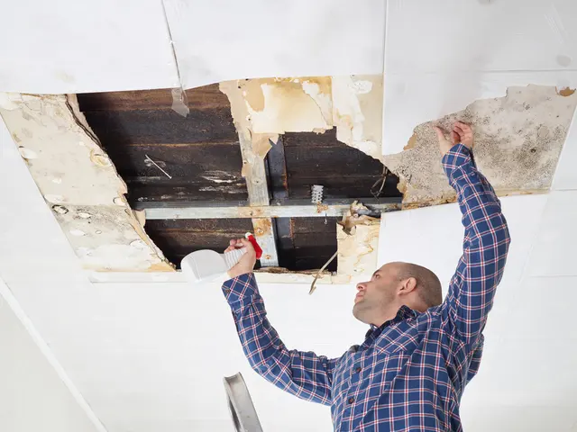 SERVPRO of Monterey Park — photo from the business 4