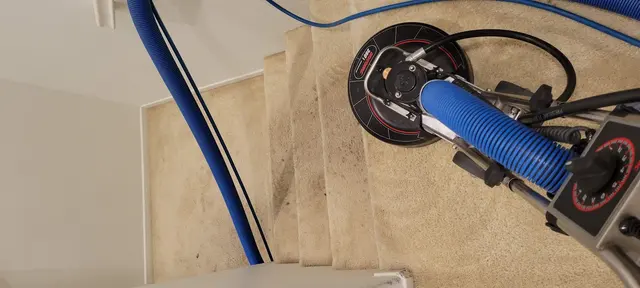 Buyher's Carpet & Upholstery Cleaning — photo from the business 10