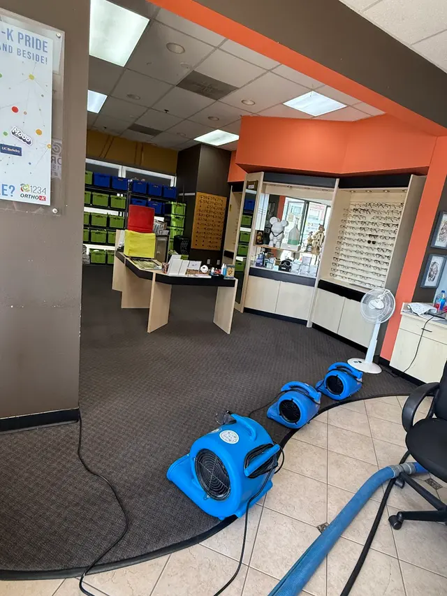 Buyher's Carpet & Upholstery Cleaning — customer photo 2
