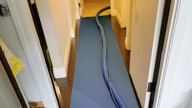 JJ Carpet Tile and Stone Care — photo from the business 1
