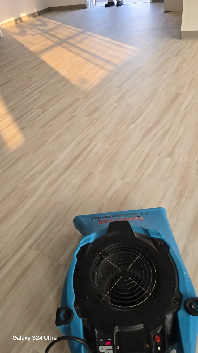 JJ Carpet Tile and Stone Care — photo from the business 6