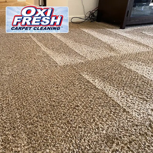 Oxi Fresh Carpet Cleaning — photo from the business 9