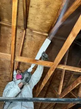 Gold Coast Flood Restorations — photo from the business 8