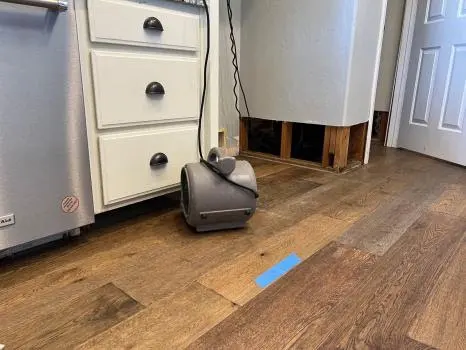 Gold Coast Flood Restorations — photo from the business 4