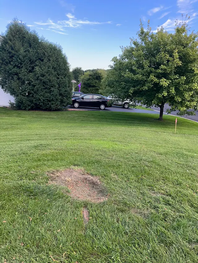 Integrity Tree Care LLC — customer photo 6