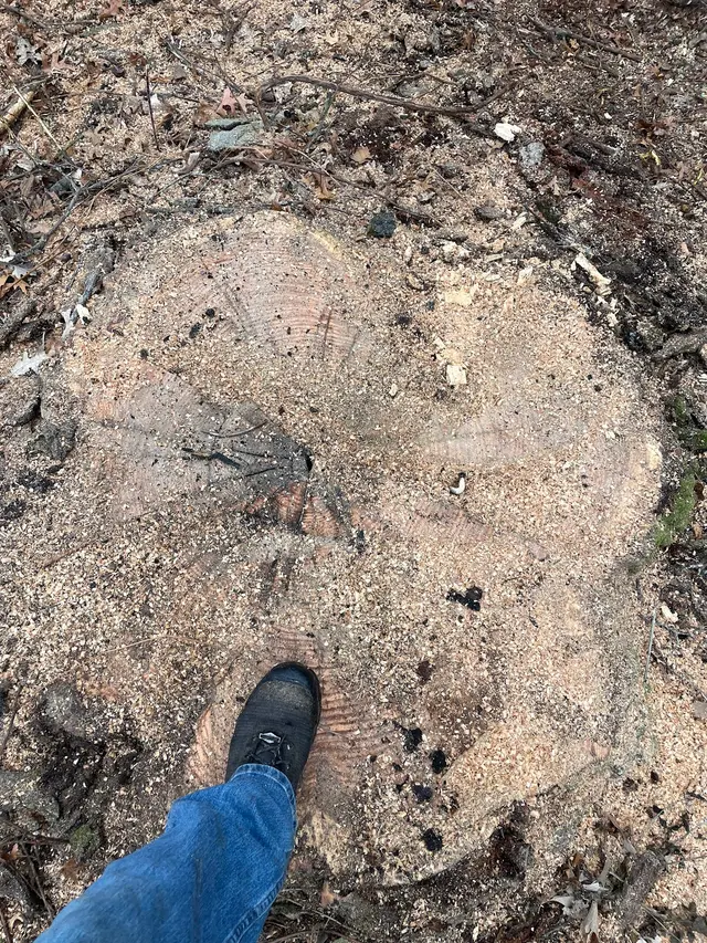 Integrity Tree Care LLC — photo from the business 10