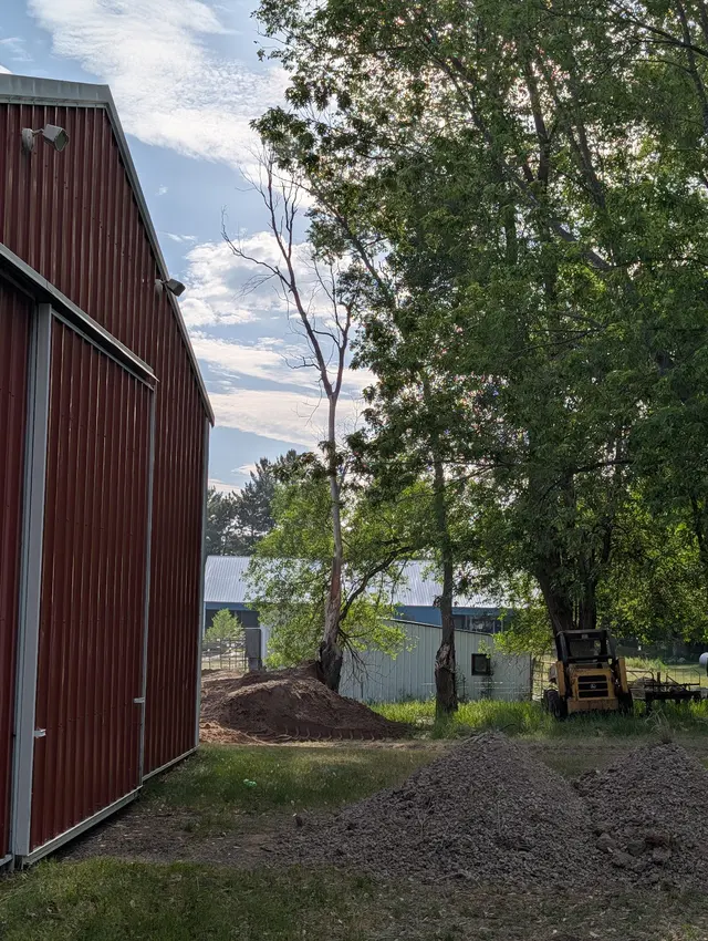 Integrity Tree Care LLC — customer photo 4