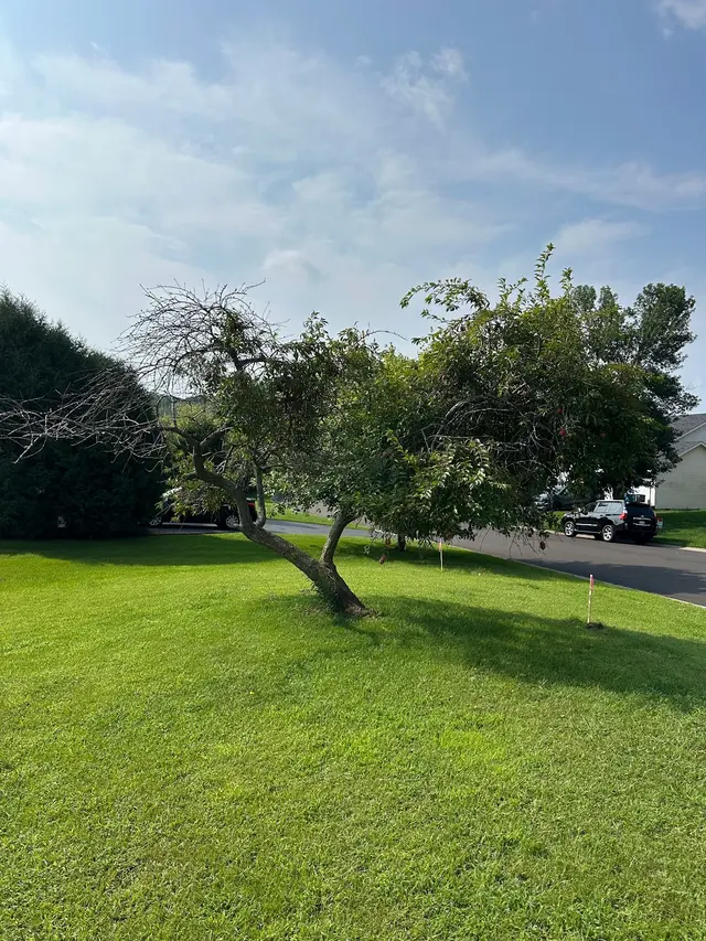 Integrity Tree Care LLC — customer photo 12