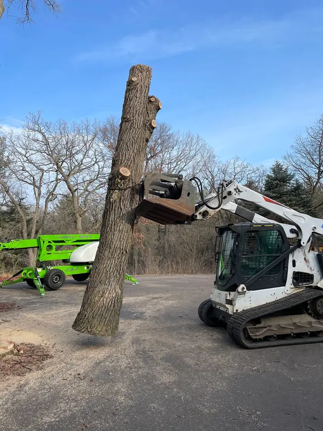 Integrity Tree Care LLC — photo from the business 3