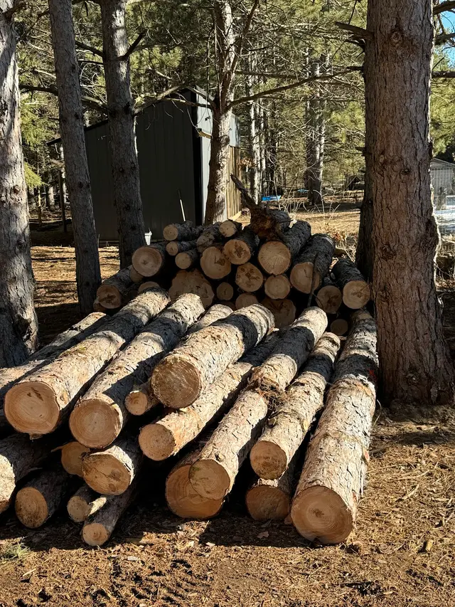 Integrity Tree Care LLC — photo from the business 2