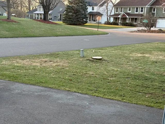 Integrity Tree Care LLC — customer photo 9