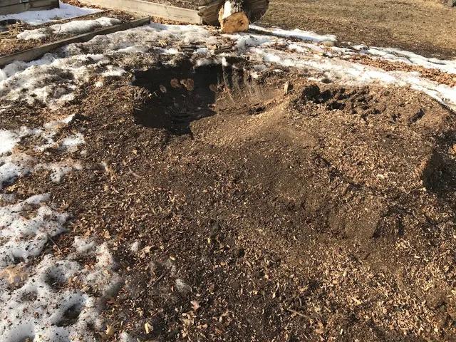 River City Tree Service LLC — photo from the business 3