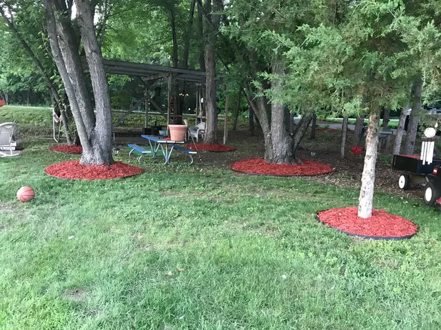 River City Tree Service LLC — photo from the business 7