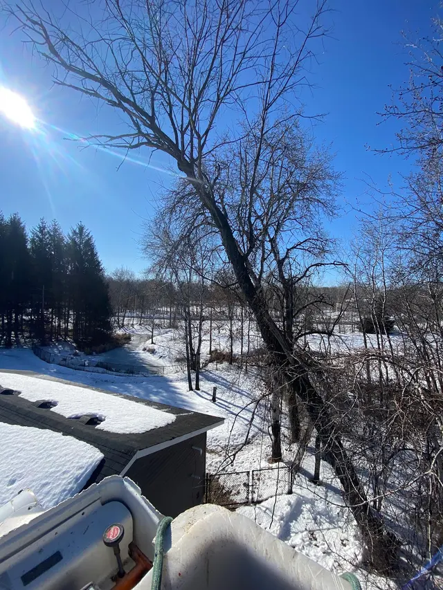 River City Tree Service LLC — photo from the business 8