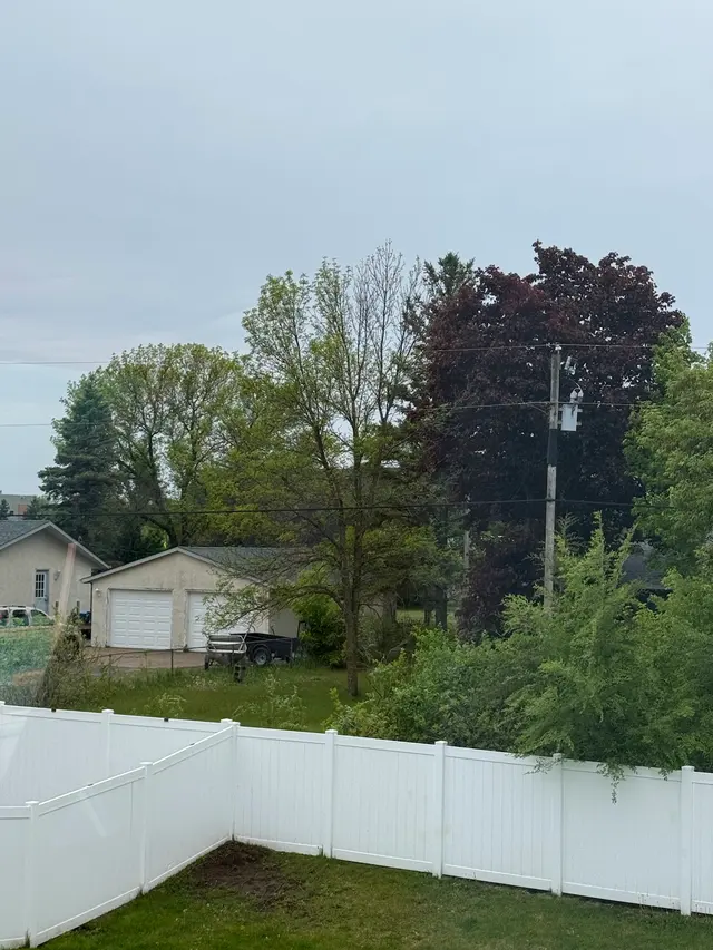 Customer photo of work by River City Tree Service LLC, from M's review